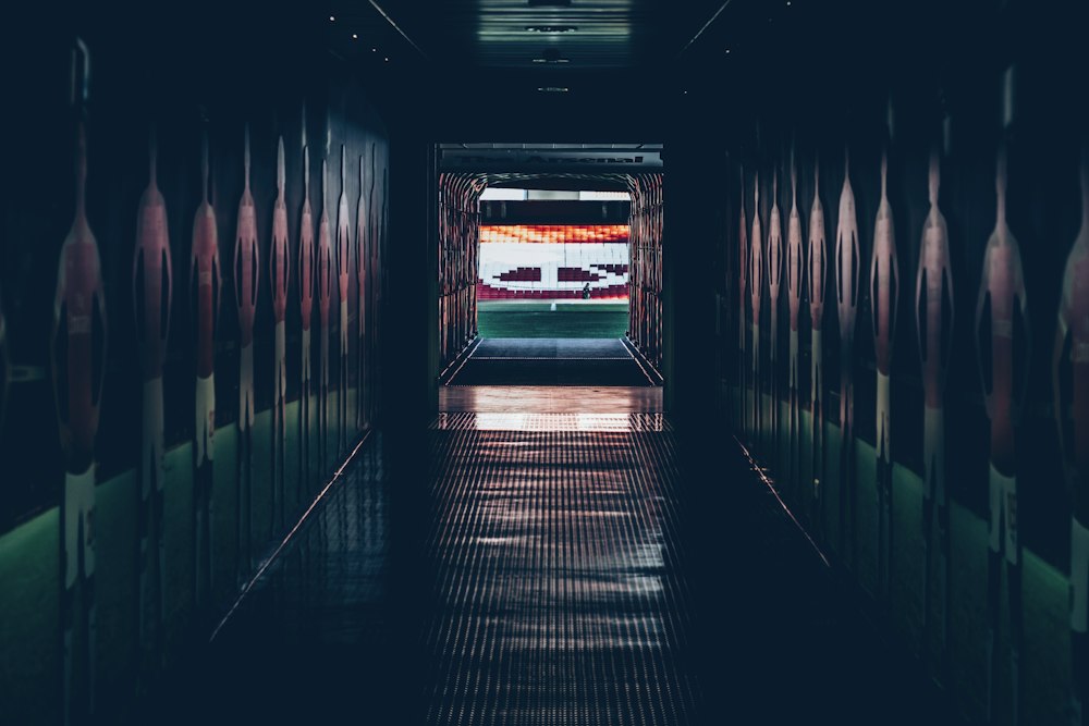 leyu·乐鱼(中国)体育官方网站·专业体育服务团队